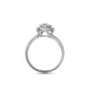Le Lumiere Twisted Ring in 18K White Gold