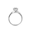 Divine Sparkle Ring in 18K White Gold