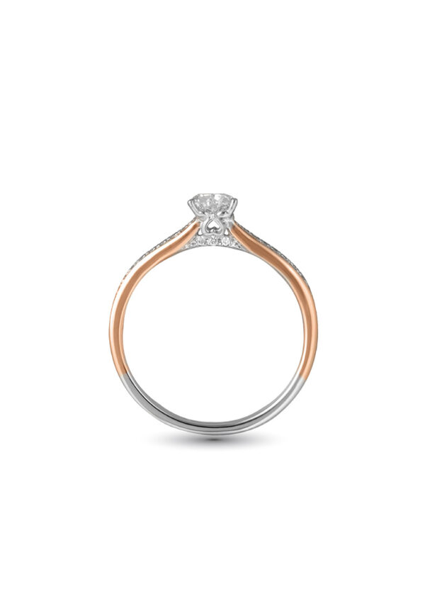 763x1100-41 Promesse Togetherness Ring in Dual-Tone