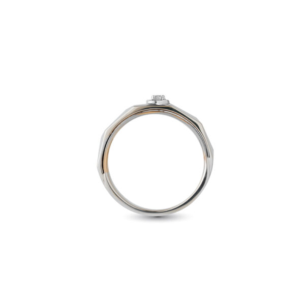Promesse Wedding Bands in Dual-Tone