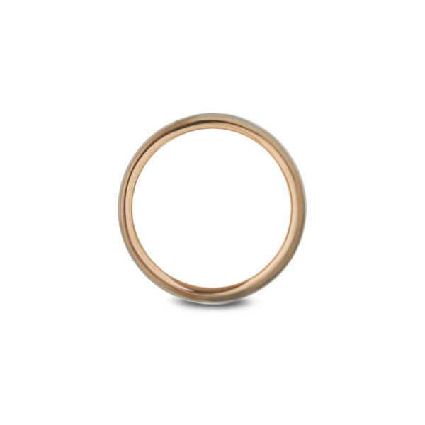 Romantic Blue Wedding Band in Dual-Tone