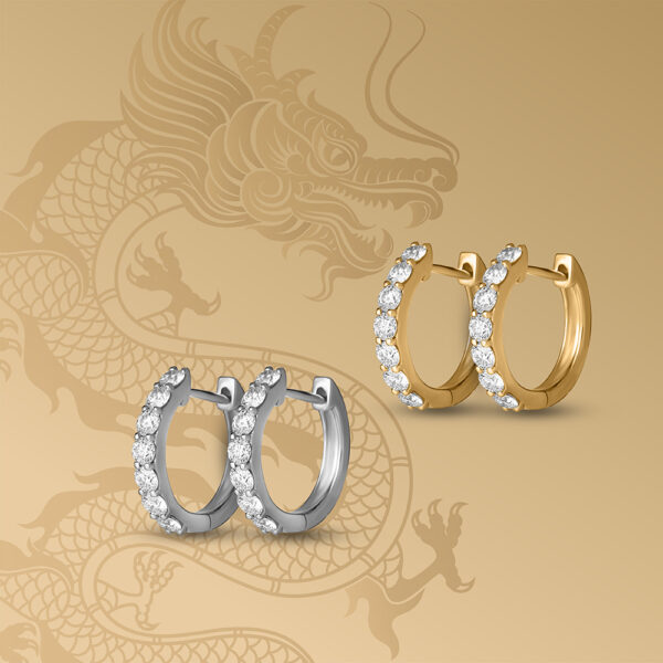 ETERNITY Earrings  In White Gold